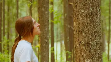 Задник до фільму "Trees" #1568391