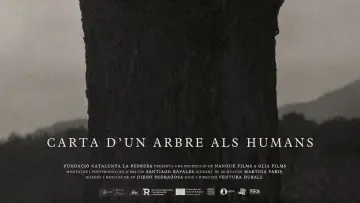 Задник до фільму "Carta d’un arbre als humans" #1569646