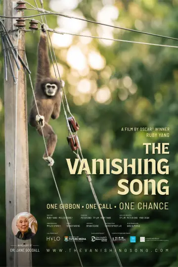 The Vanishing Song постер