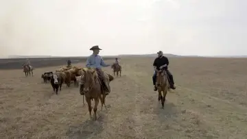 Задник до фільму "On les appelle cowboys" #1812169