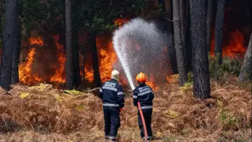 Задник до фільму "Sauvons nos Forêts" #1618248
