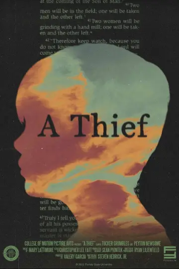 A Thief постер