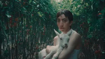 FULGOR постер