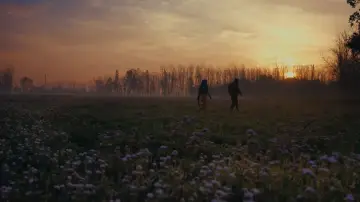 Задник до фільму "Kidney" #1864588