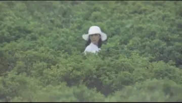 Задник до фильму"団鬼六　花嫁人形" #933991
