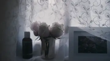 Задник до фильму"Пало-Альто" #1072483
