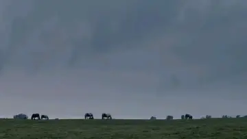 Задник до фильму"The Selfish Giant" #1068543