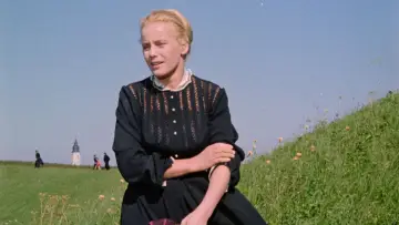 Задник до фильму"Rose Bernd" #681127