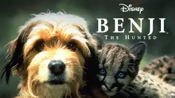 Задник до фильму"Гонитва за Бенджі" #1051790