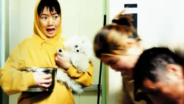 Задник до фильму"플란다스의 개" #423111