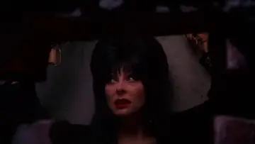 Задник до фильму"Elvira