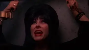 Задник до фильму"Elvira