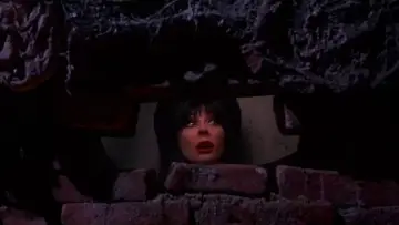 Задник до фильму"Elvira