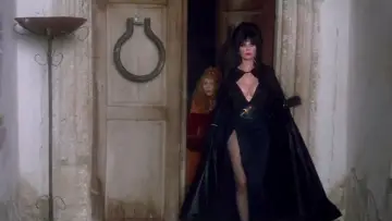 Задник до фильму"Elvira
