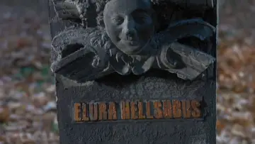 Задник до фильму"Elvira