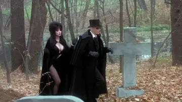 Задник до фильму"Elvira