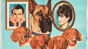 Задник до фільму "The Ugly Dachshund" #1853648