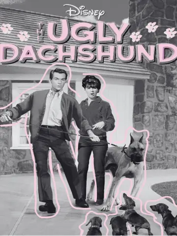 Постер до фільму "The Ugly Dachshund" #1853677