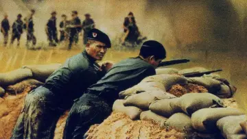 Задник до фильму"The Green Berets" #396883