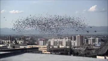 Задник до фільму "Infestation" #1653525