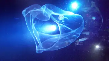 Задник до фильму"Aliens of the Deep" #419390