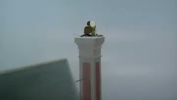 Задник до фільму "Le Roi et l