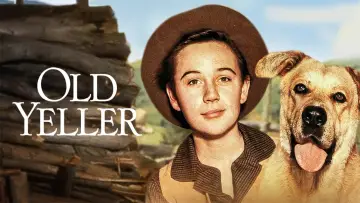 Задник до фильму"Old Yeller" #146164