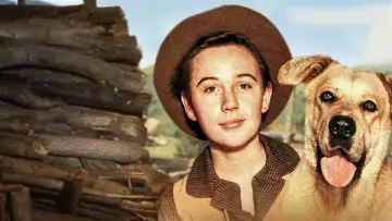 Задник до фильму"Old Yeller" #384325
