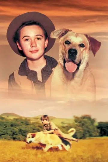 Постер до фильму"Old Yeller" #714614