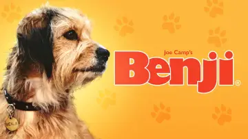 Задник до фильму"Benji" #1117406