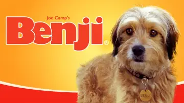 Задник до фильму"Benji" #1117408