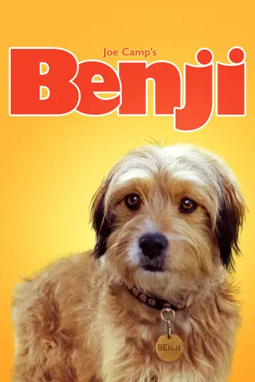 Постер до фильму"Benji" #1117414
