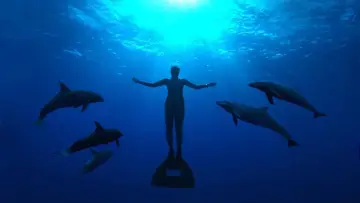 Задник до фильму"The Cove" #463136
