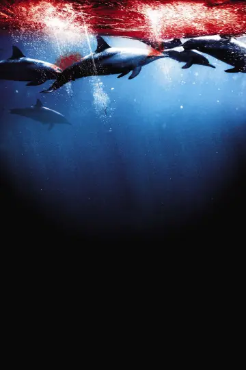 Постер до фильму"The Cove" #463138