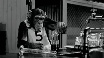 Задник до фільму "Monkey Business" #1585353