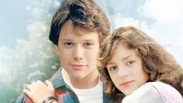 Задник до фильму"The Boy Who Could Fly" #967521