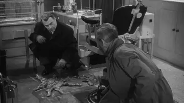 Задник до фильму"The Quatermass Xperiment" #413957