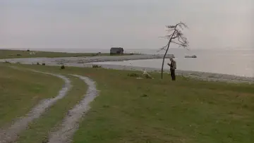 Задник до фильму"Offret" #189149