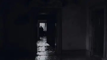 Задник до фильму"Offret" #189152