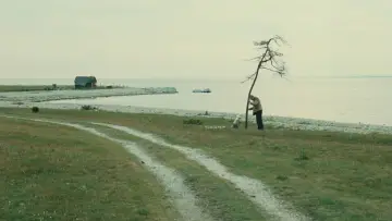 Задник до фильму"Offret" #189156