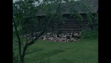 Задник до фильму"Йди та дивись" #845259