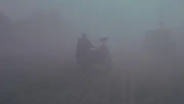 Задник до фильму"Йди та дивись" #930080