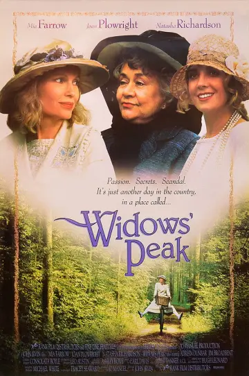 Постер до фильму"Widows