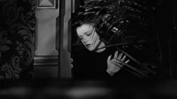 Задник до фильму"Cat People" #993893
