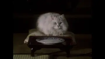 Задник до фильму"Будинок" #221288
