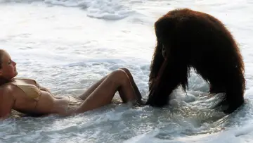 Задник до фильму"Tarzan the Ape Man" #419097