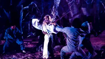 Задник до фільму "The Legend of the 7 Golden Vampires" #408212