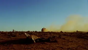 Задник до фильму"Wake in Fright" #1044156