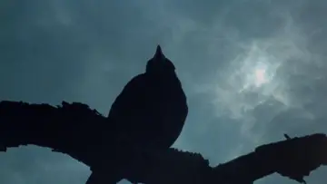 Задник до фільму "Blood on Satan