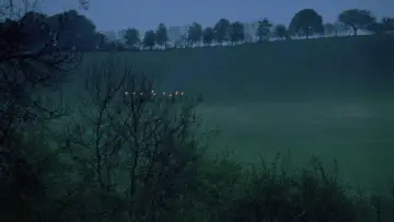 Задник до фільму "Blood on Satan